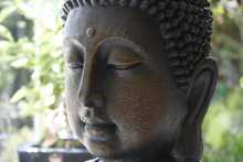 Buddha